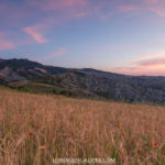 Monte Ascensine calanchi e grano