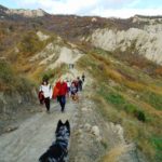 Foto Cani Calanchi e Vino 2019 (13)