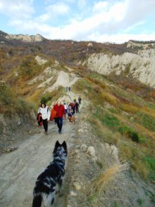 Foto Cani Calanchi e Vino 2019 (13)