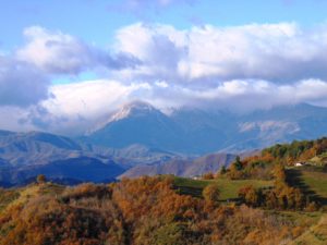 Foto Cani Calanchi e Vino 2019 (3)