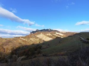 Foto Cani Calanchi e Vino 2019 (4)